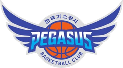 大邱石油公社飞马队